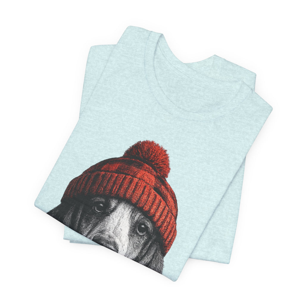 Basset in a Beanie