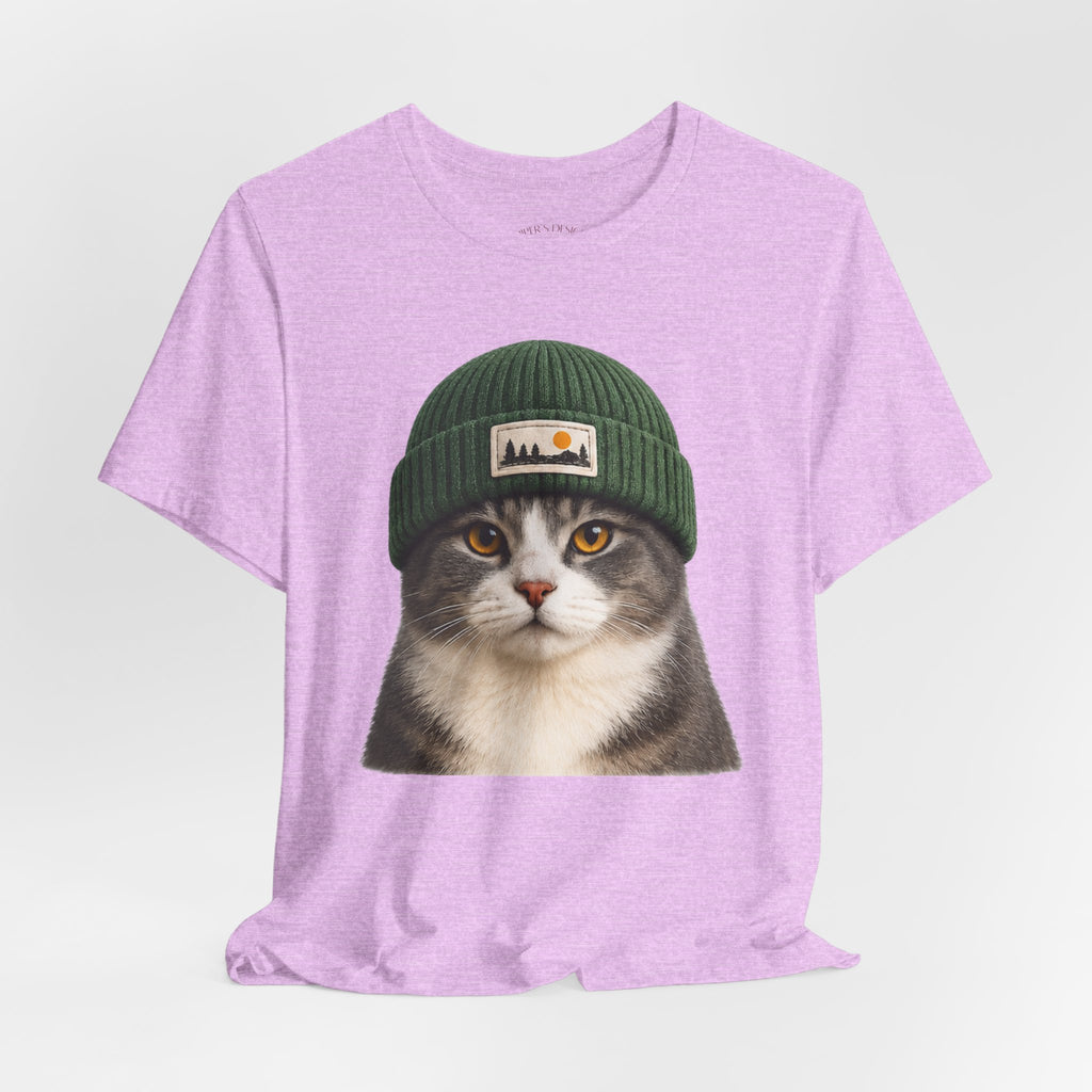 Cat in a Beanie
