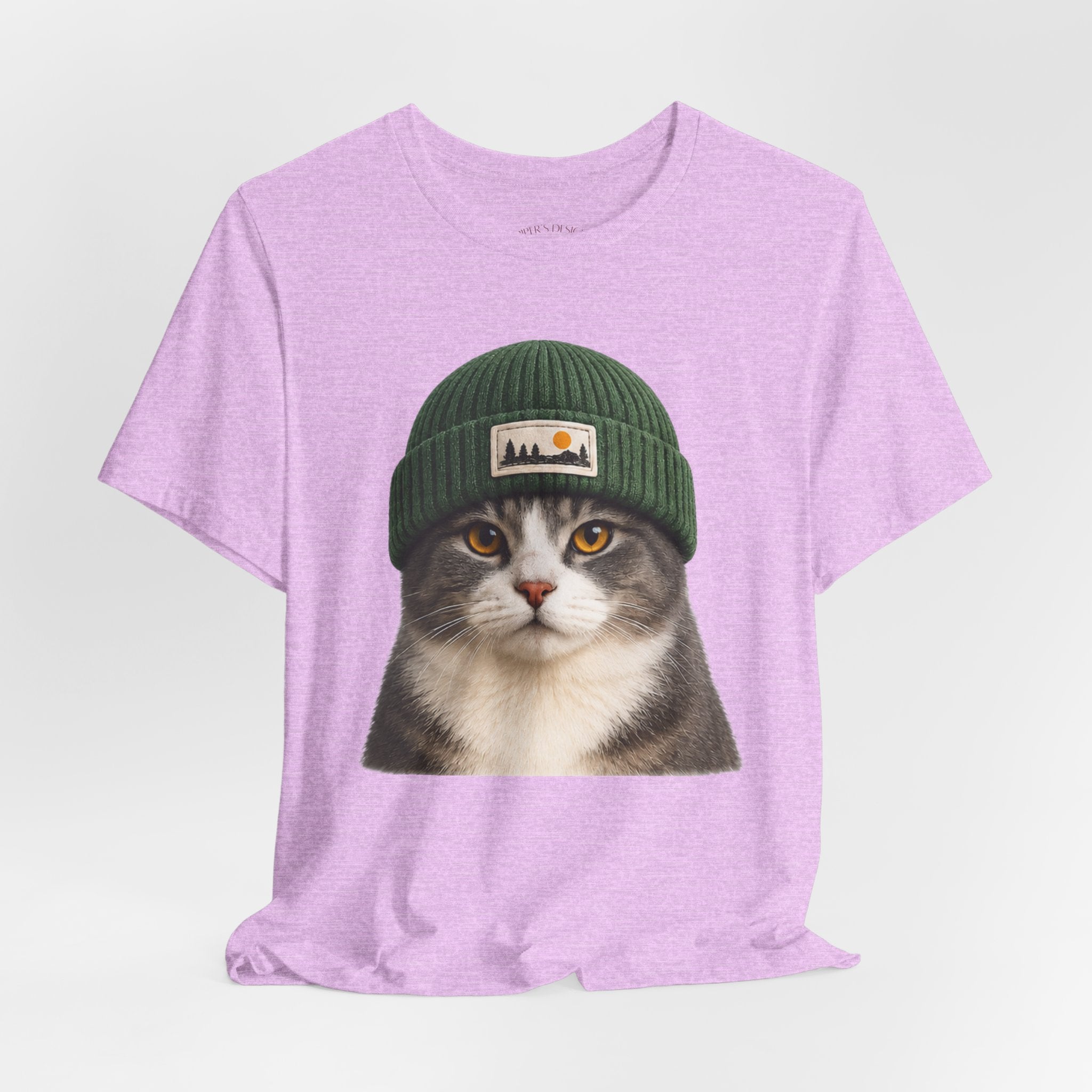 Cat in a Beanie