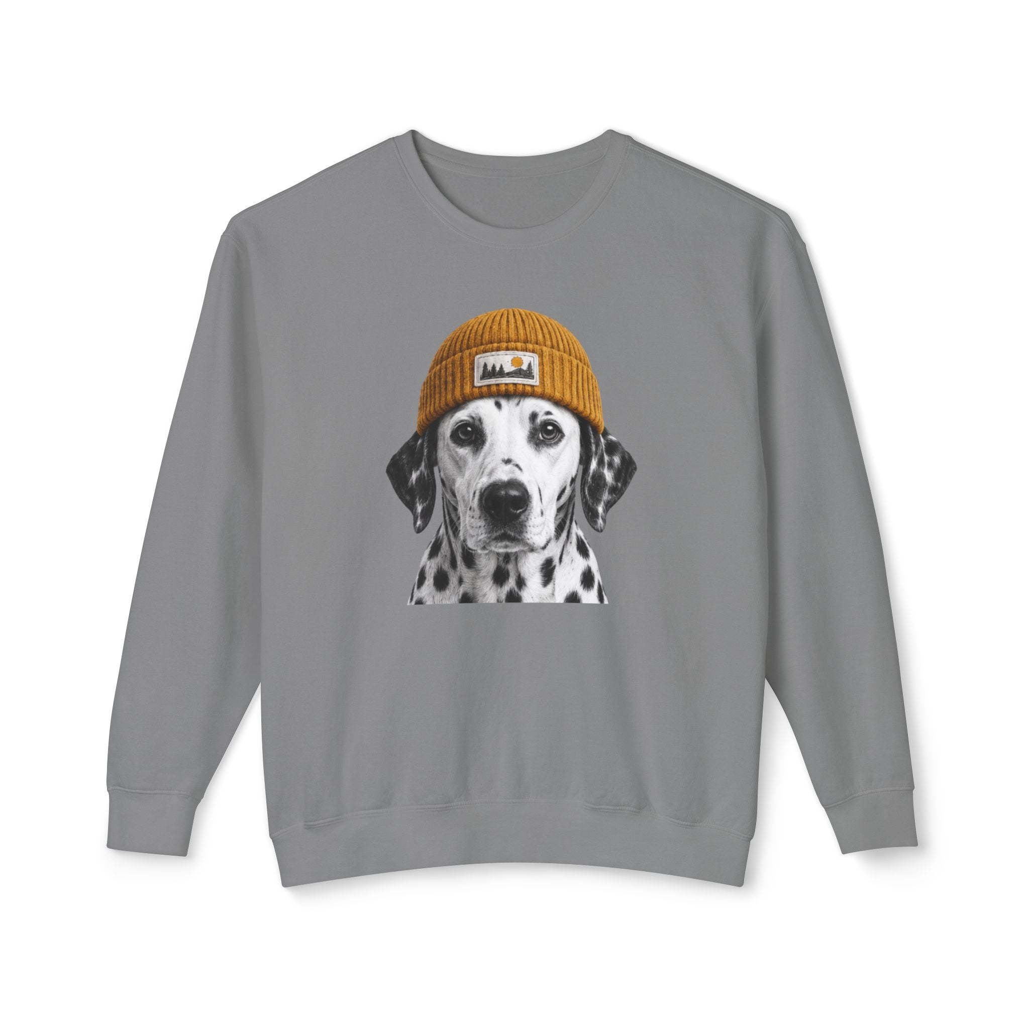 Dalmatian Beanie Sweatshirt