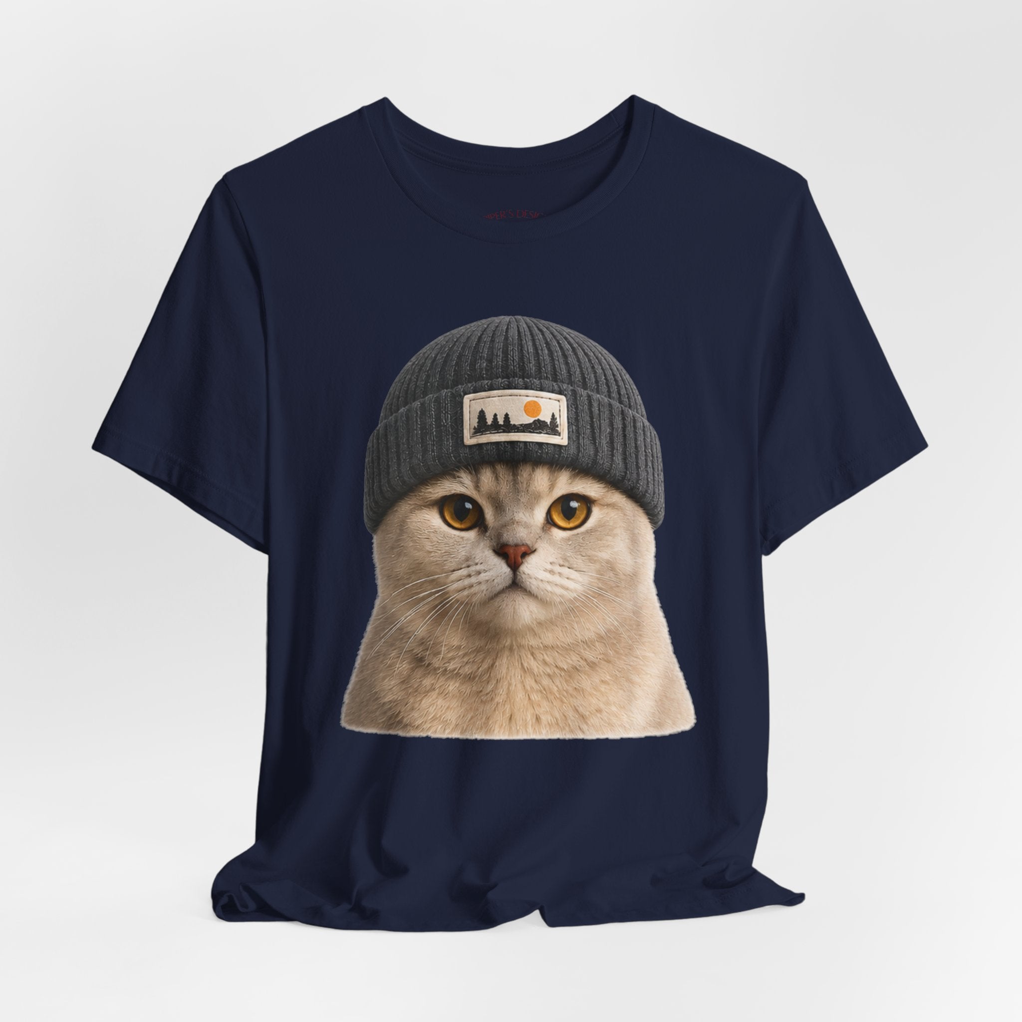 British Shorthair Cat in a Beanie