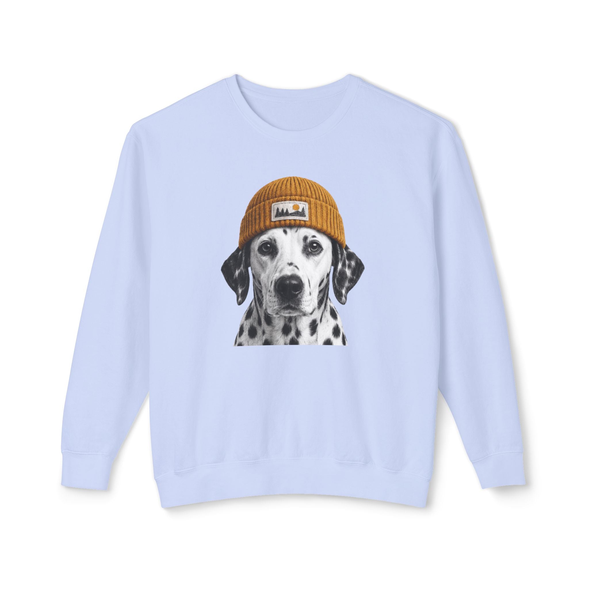 Dalmatian Beanie Sweatshirt