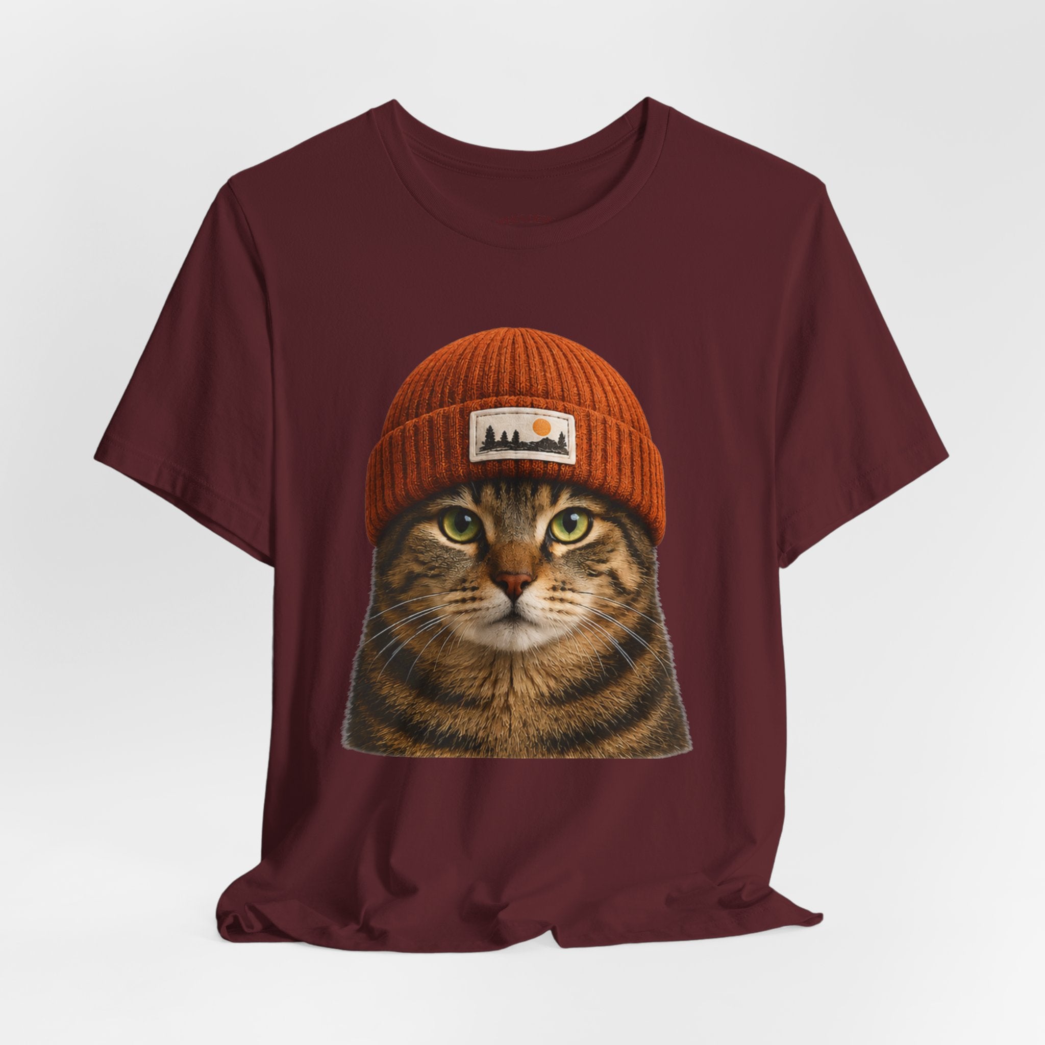 Tabby Cat in a Beanie